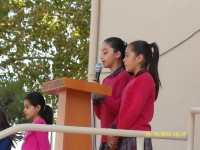 /album/foto%c4%9fraflar%3a-resim-galerisi/sam-3594-jpg/